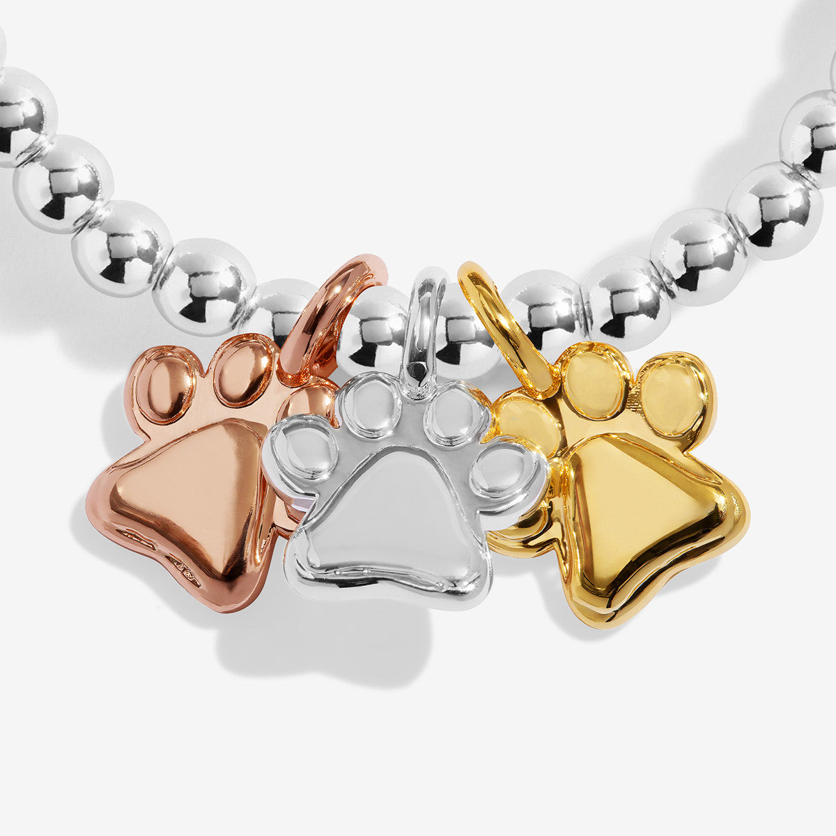 Joma A Little Charmed Moments Perfect Pawprint Bracelet