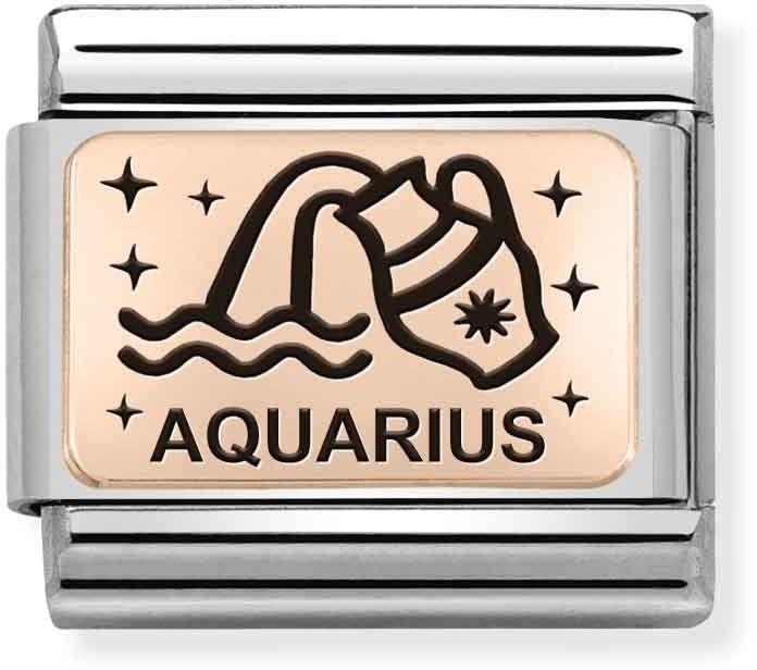 Nomination Rose Gold Aquarius Charm