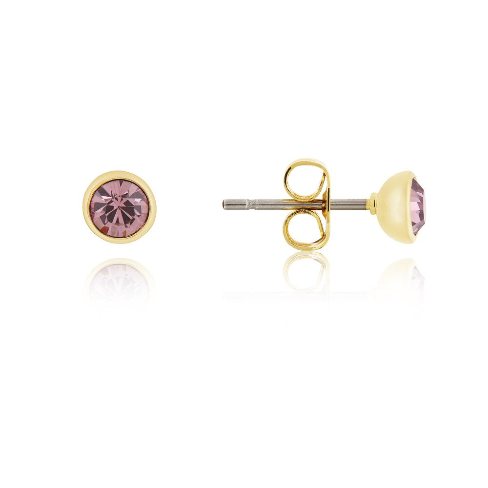 Karma Gold February Stud Earrings
