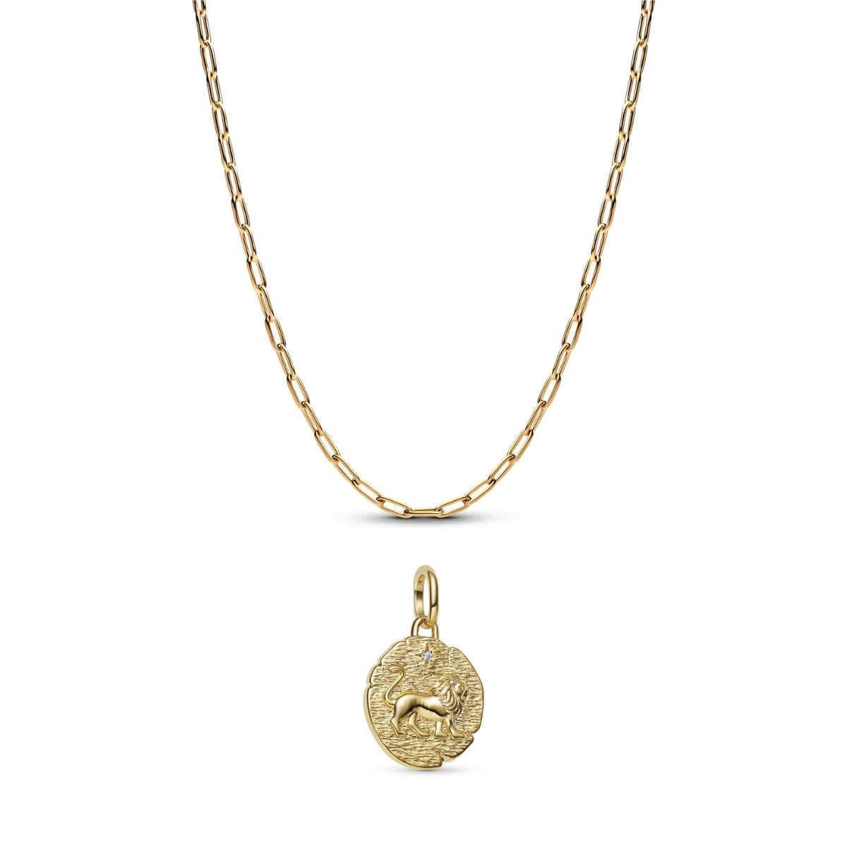 Gold Lion Medallion Elongated Link Necklace Set