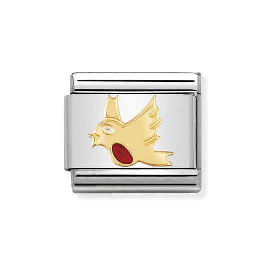 Nomination Robin Charm