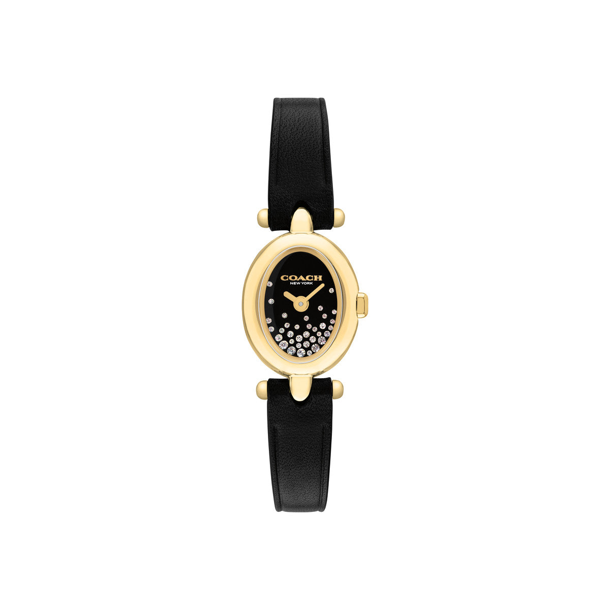 Coach Gold Mini Sammy Black Oval Dial Leather Watch