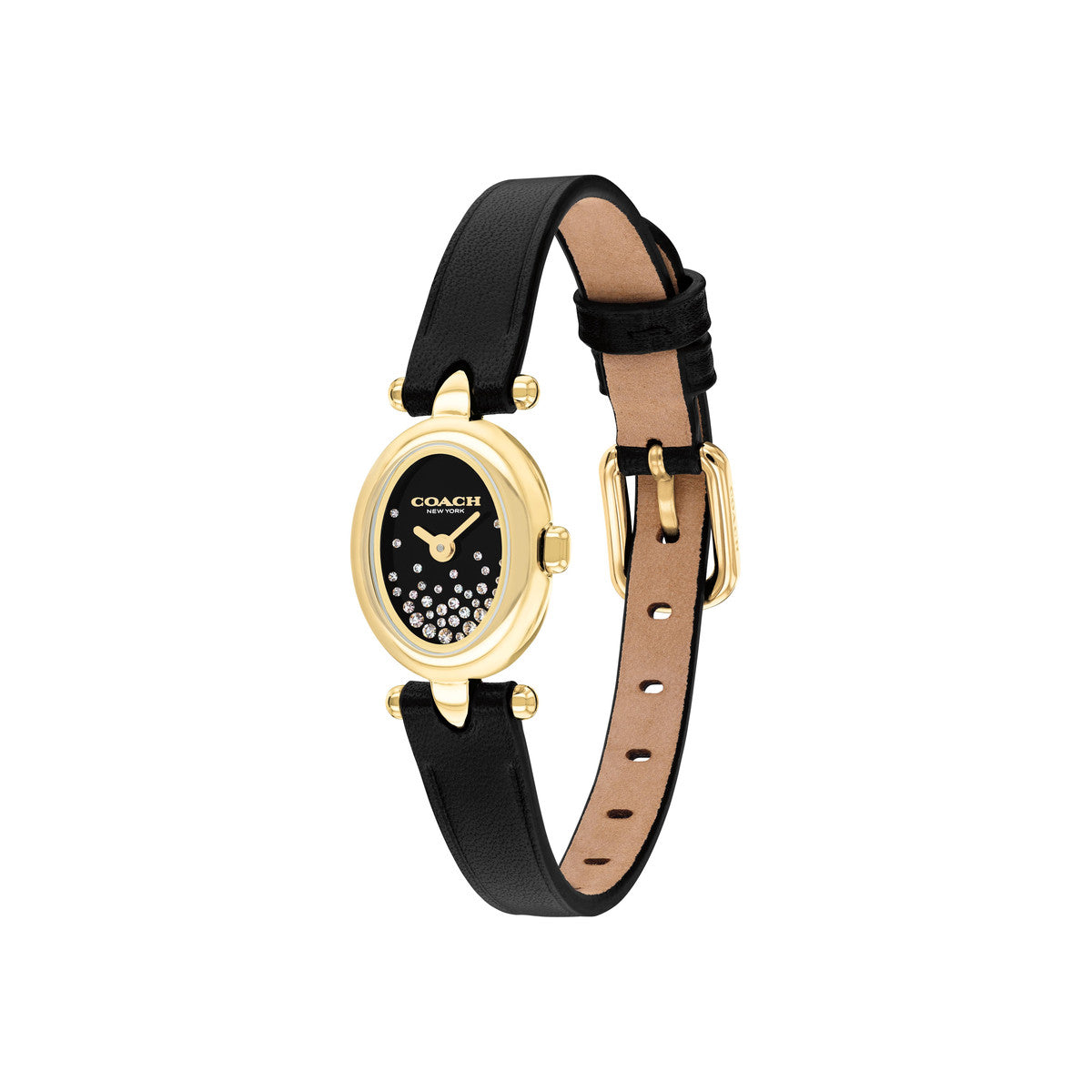 Coach Gold Mini Sammy Black Oval Dial Leather Watch