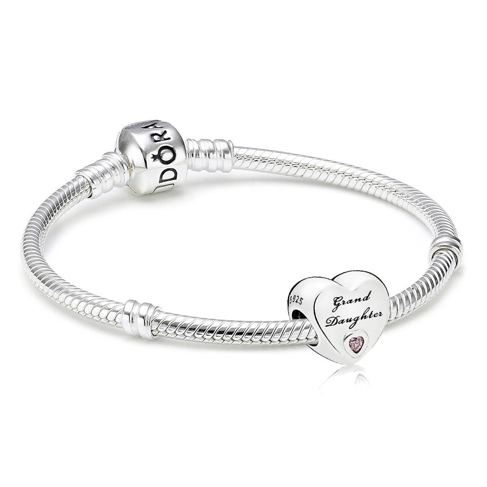 Pandora A Granddaughter's Love Charm