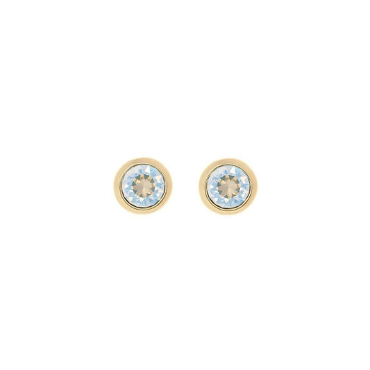 Ted Baker Sinaa Crystal Stud Gold Earrings