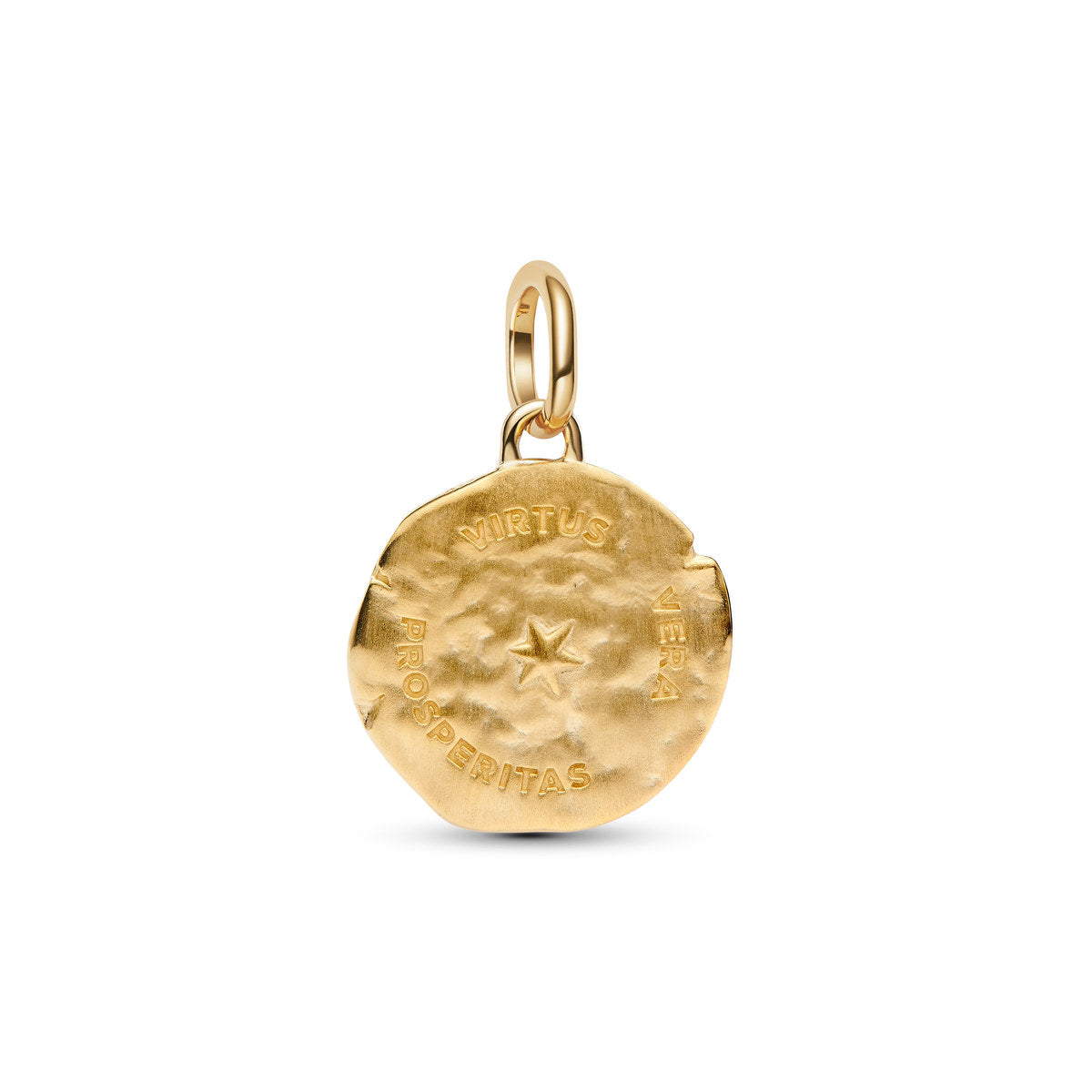Pandora Gold Wheat Medallion Charm
