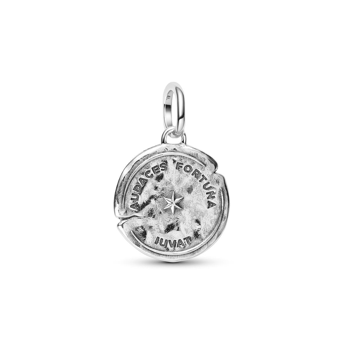 Pandora Silver Dolphin Medallion Charm