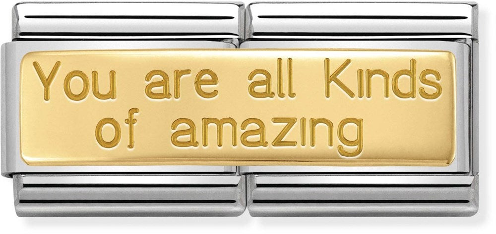 Nomination You Are All Kinds Of Amazing Double Charm 