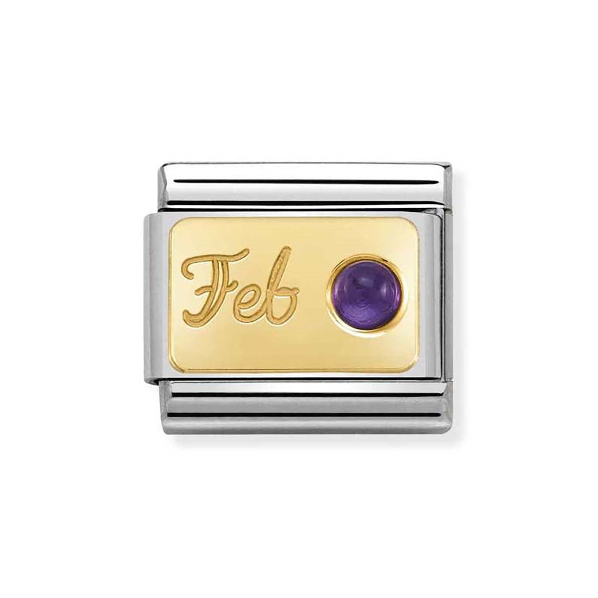 Nomination February Amethyst Birthstone Charm