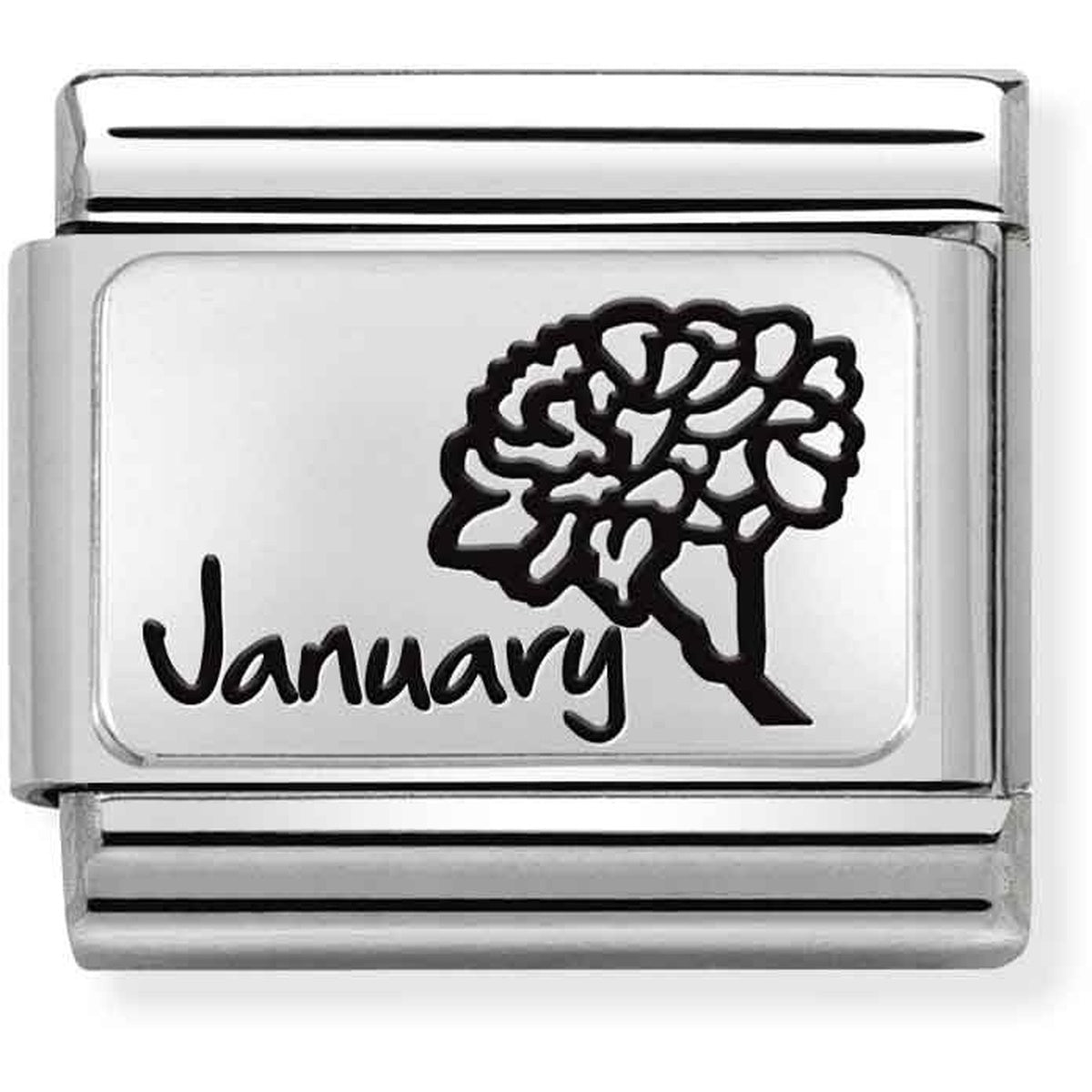 Nomination January Birth Flower Charm