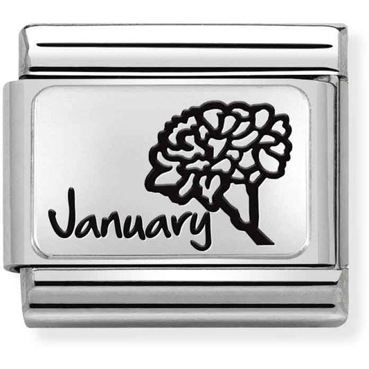 Nomination January Birth Flower Charm