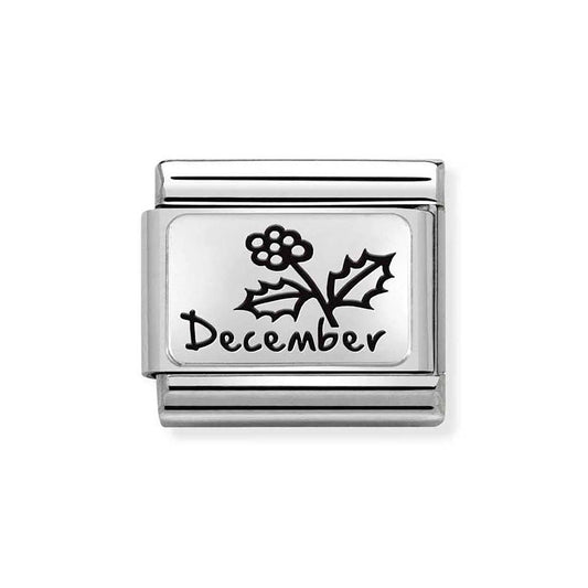 Nomination December Birth Flower Charm