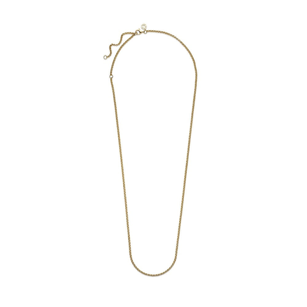 Pandora 14k Gold-Plated Rolo Chain Necklace