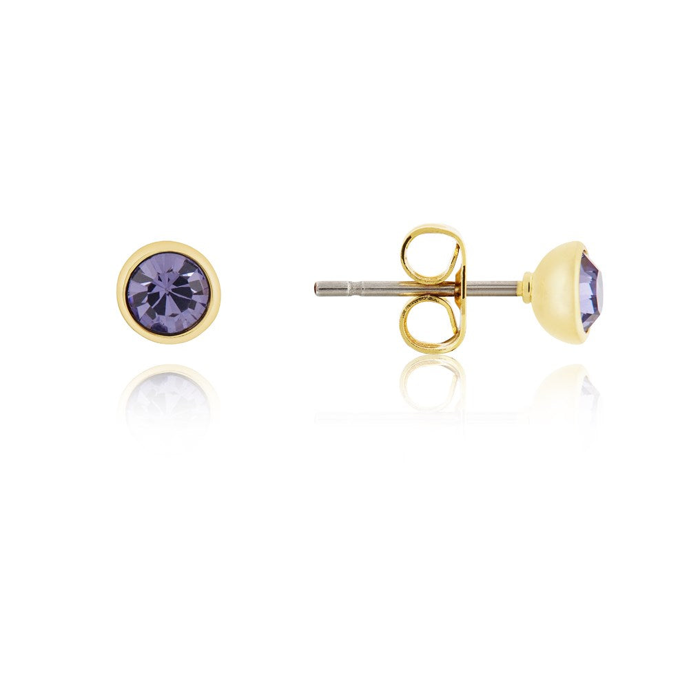 Karma Gold December Stud Earrings