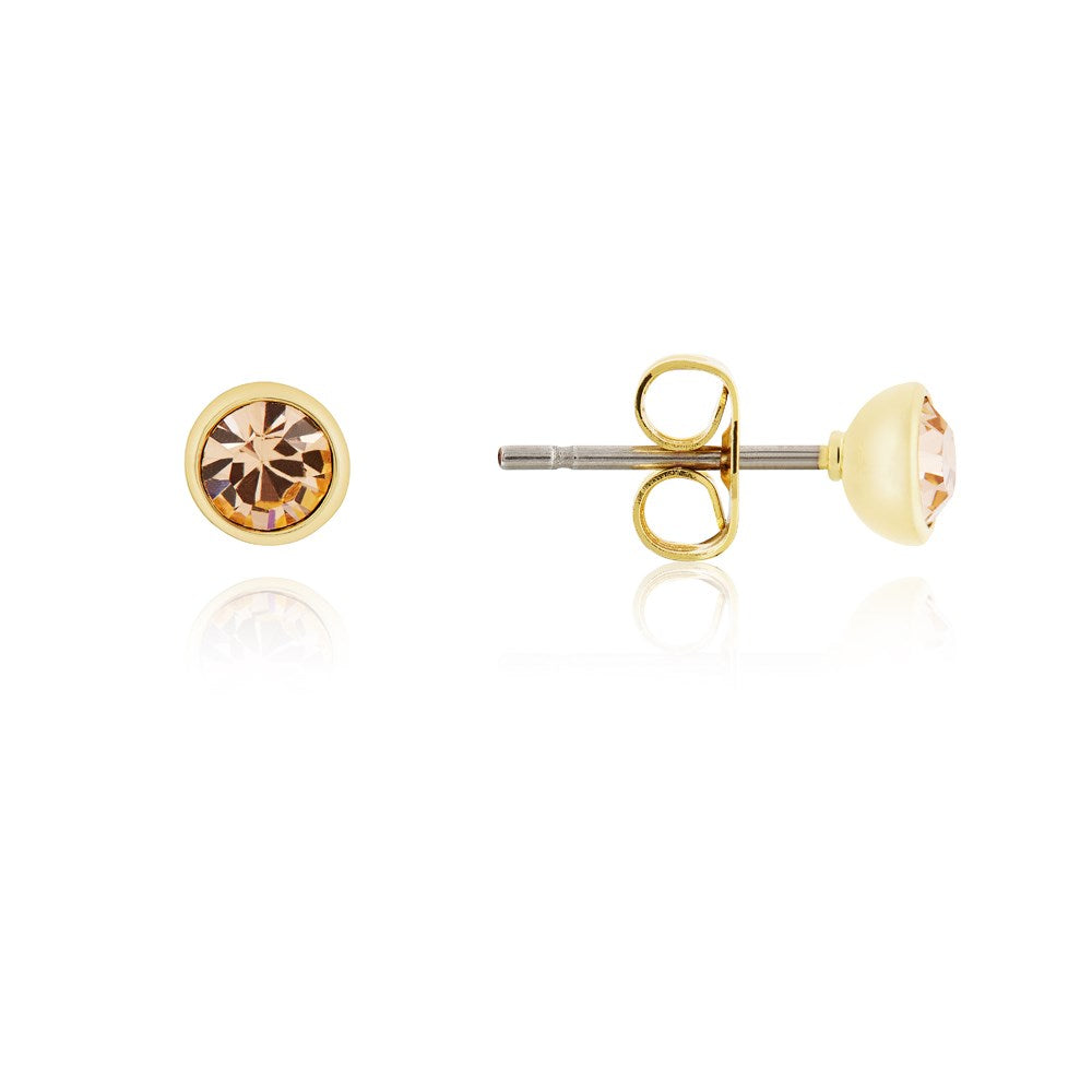 Karma Gold November Stud Earrings