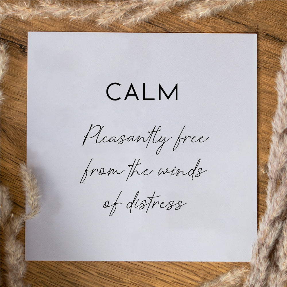 Seek + Find Calm Silver Necklace