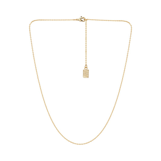 August Woods Gold Fine Chain Necklace