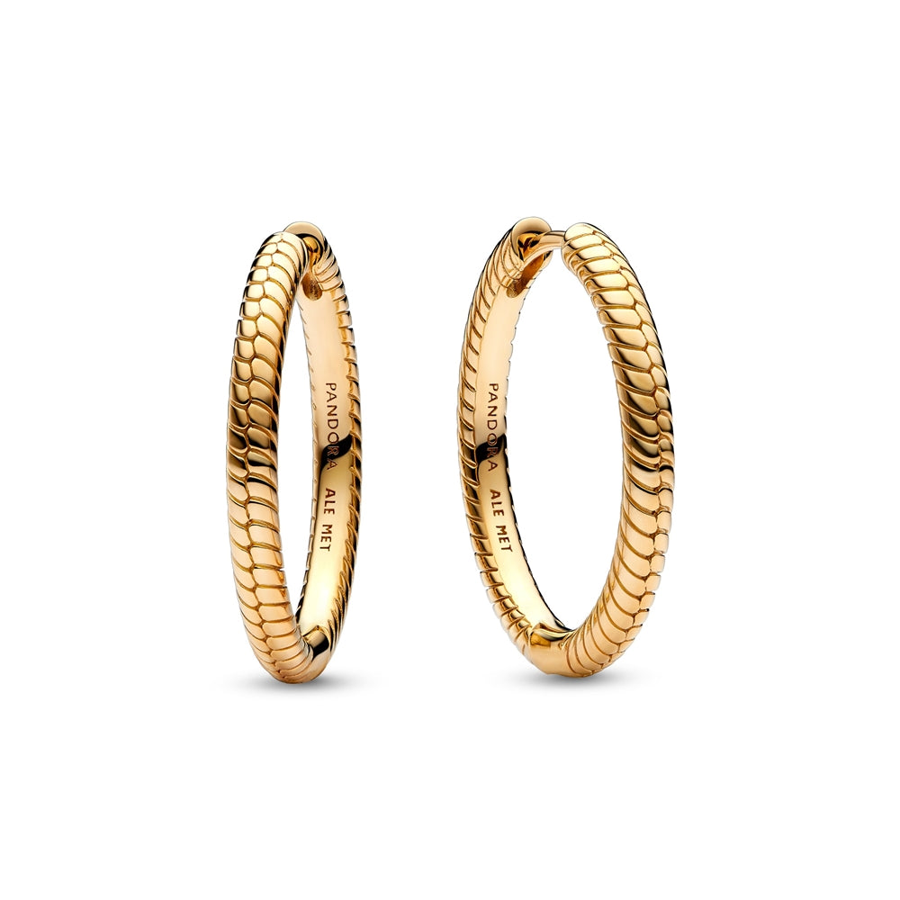 Pandora  Moments Charm Hoop Earrings