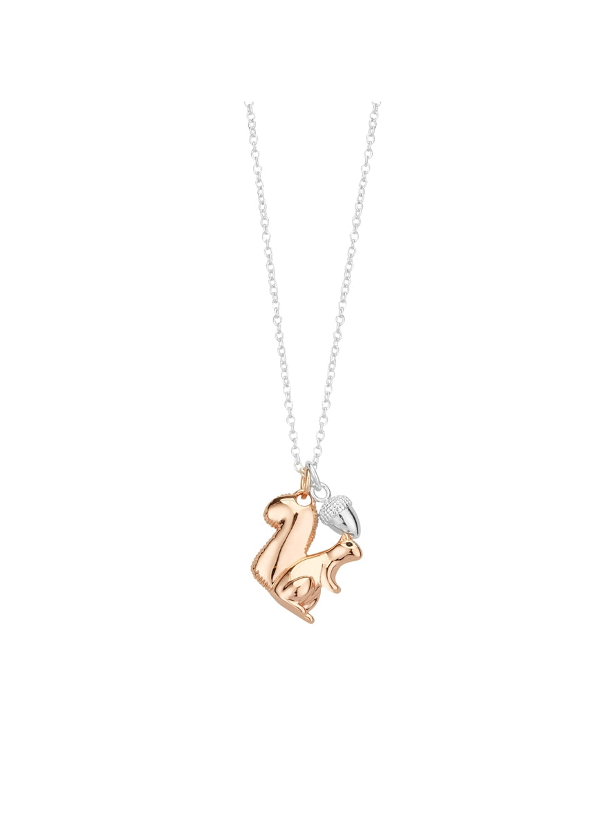Karma Rose Gold Mix Squirrel Nut Necklace