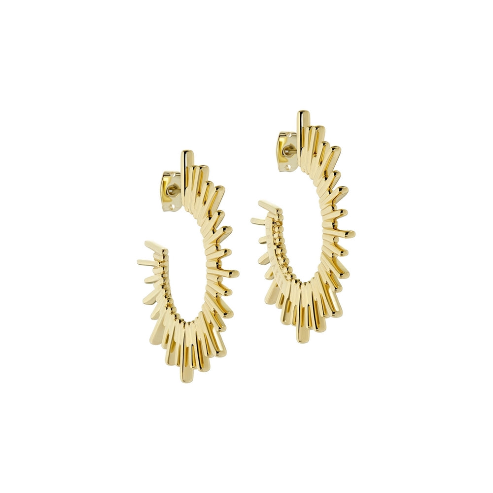 Ted Baker Sunrria Gold Sunray Large Hoops