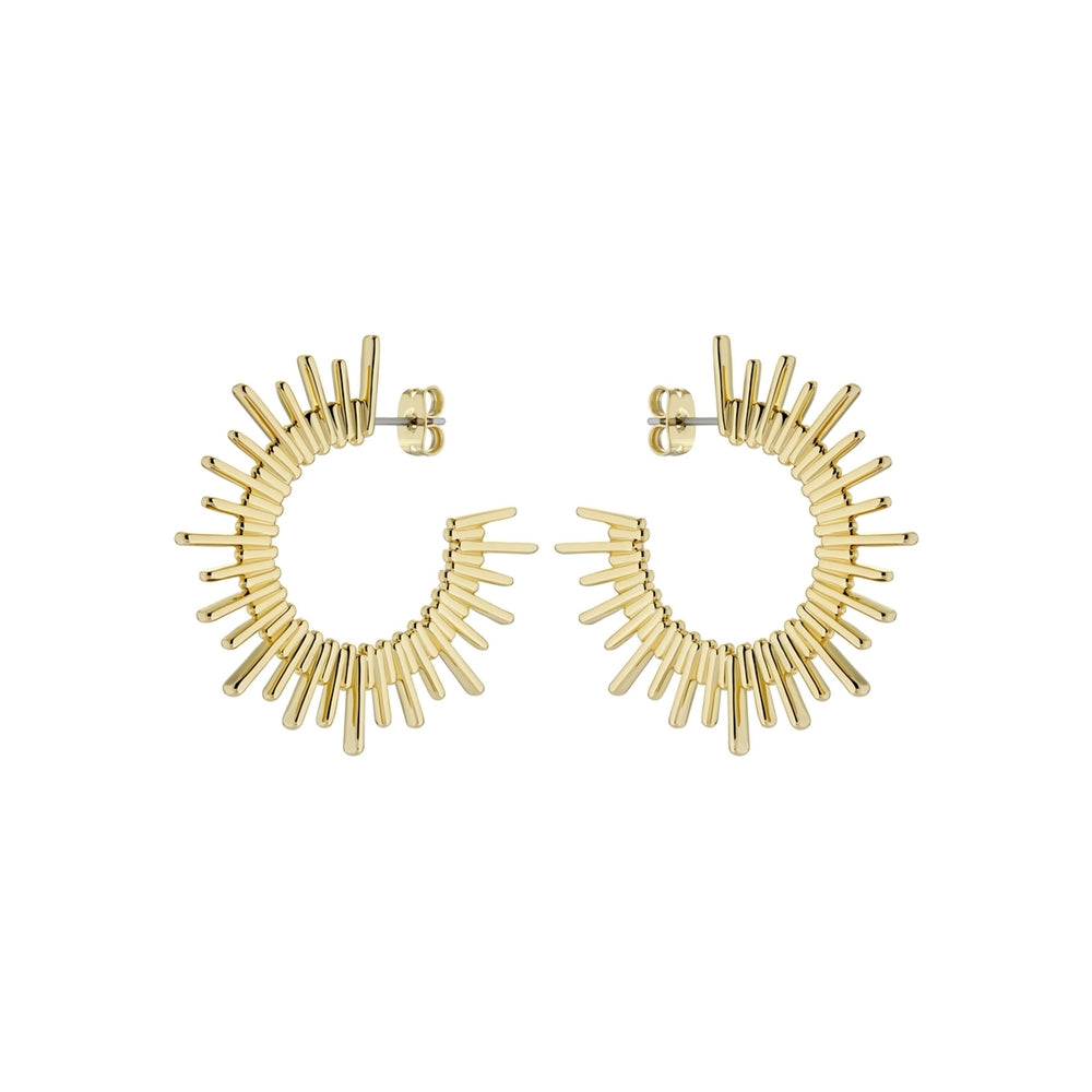 Ted Baker Sunrria Gold Sunray Large Hoops