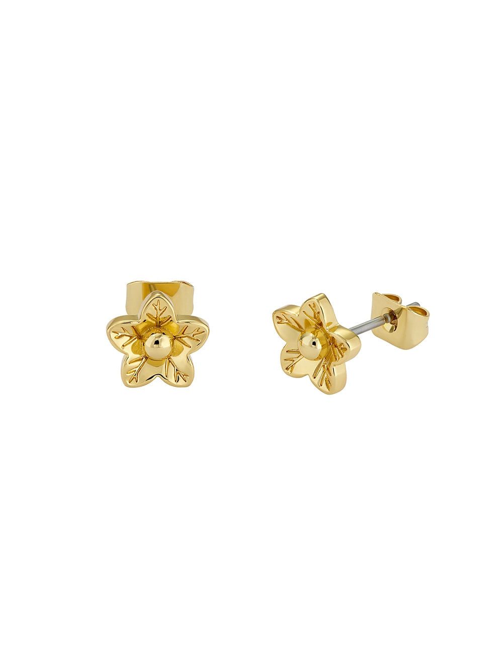 Ted Baker Wildie Tiny Gold Wildflower Stud Earrings