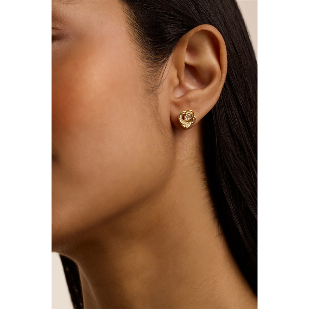 Ted Baker Gold Florine Crystal Flower Stud Earrings
