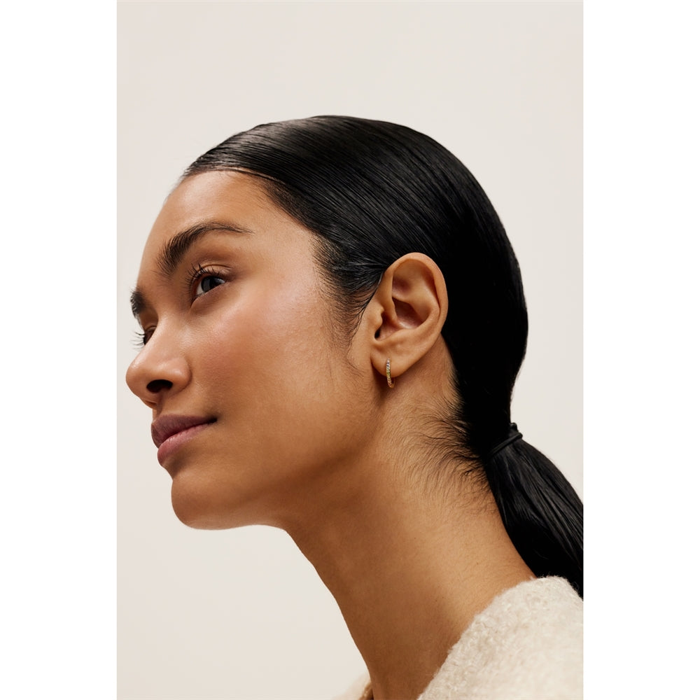 Ted Baker Gold Heplie Pastel Crystal 14mm Hoops