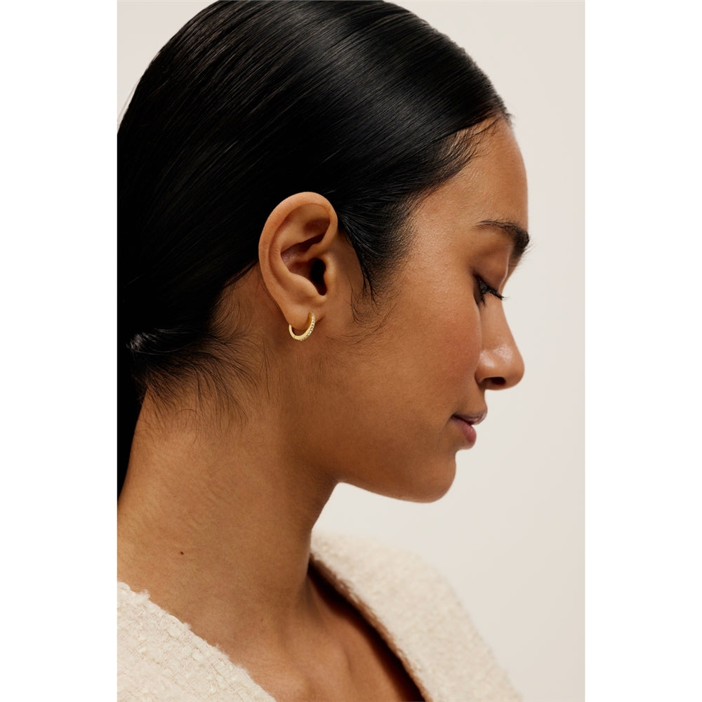 Ted Baker Gold Heplie Crystal Hoops 14mm