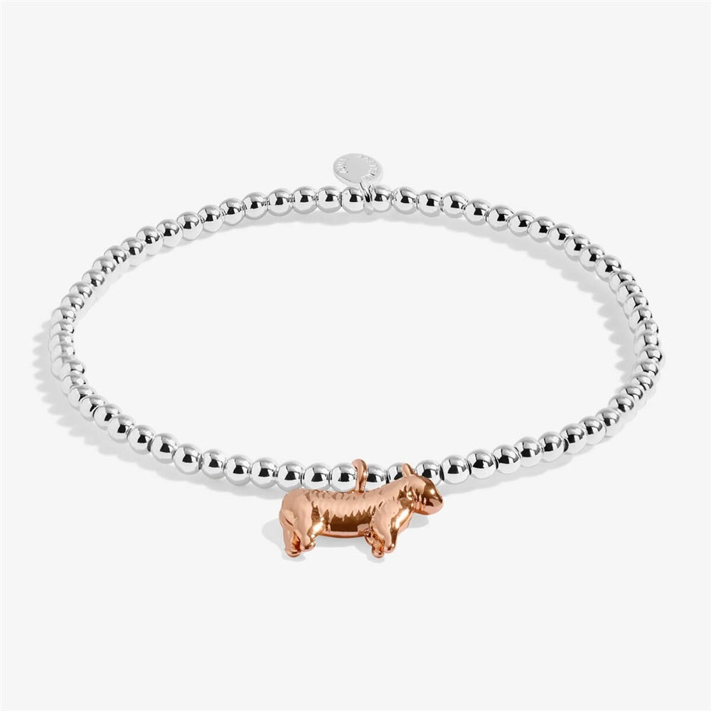 Joma A Wee Scottish Cow Bracelet