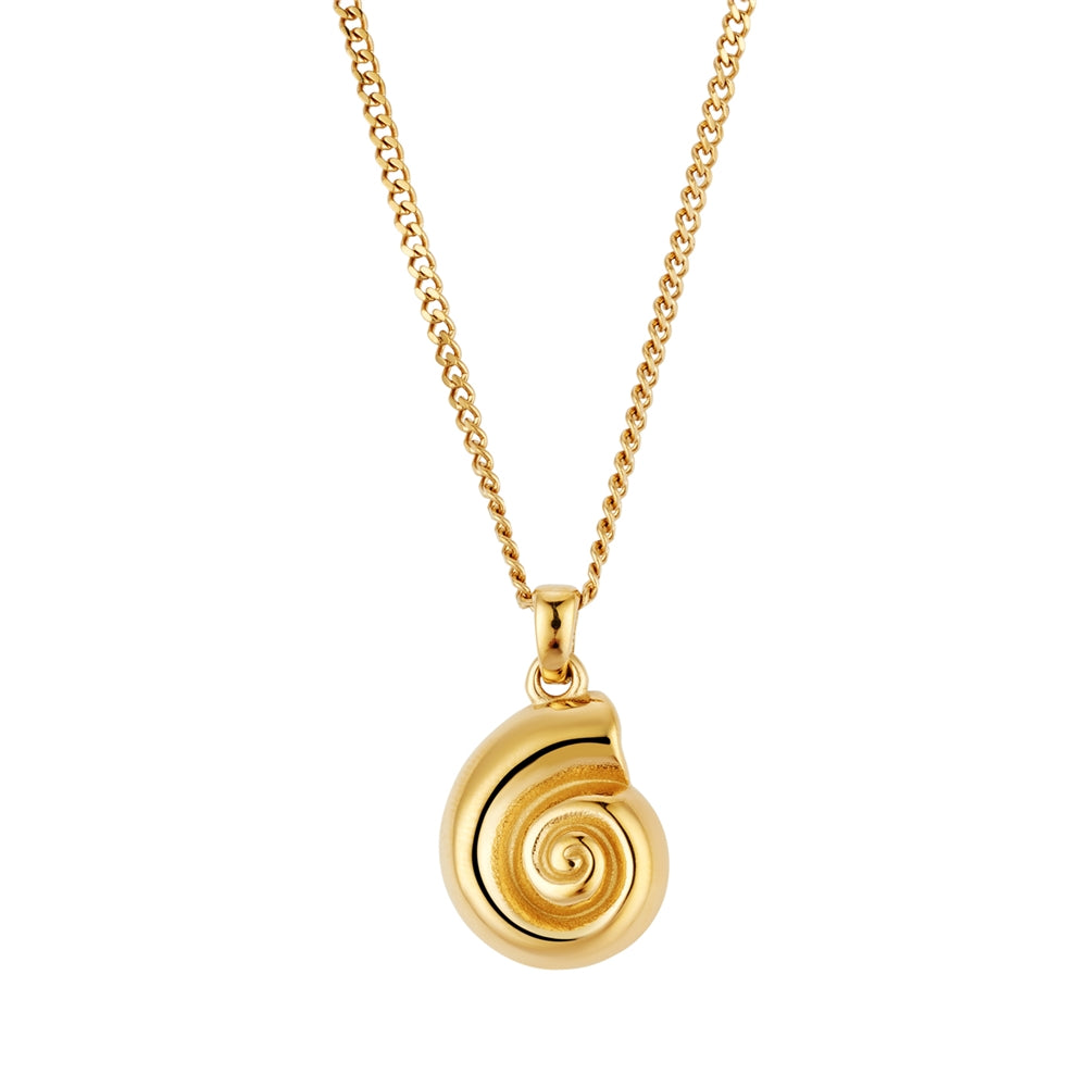 Over & Over Gold 14k Stainless Steel Spiral Shell Necklace