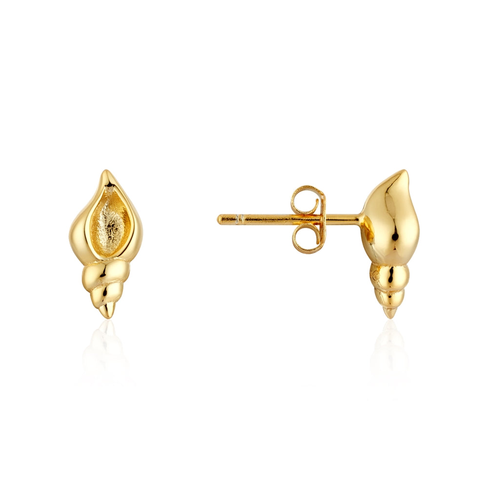 14k Plated Shell Stud Earrings