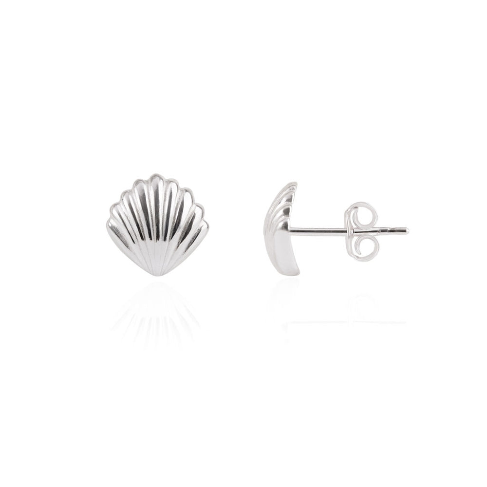 Argento Silver Shell Stud Earrings