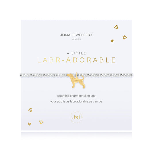 Joma A Little Gold Mix Labr-adorable Dog Bracelet