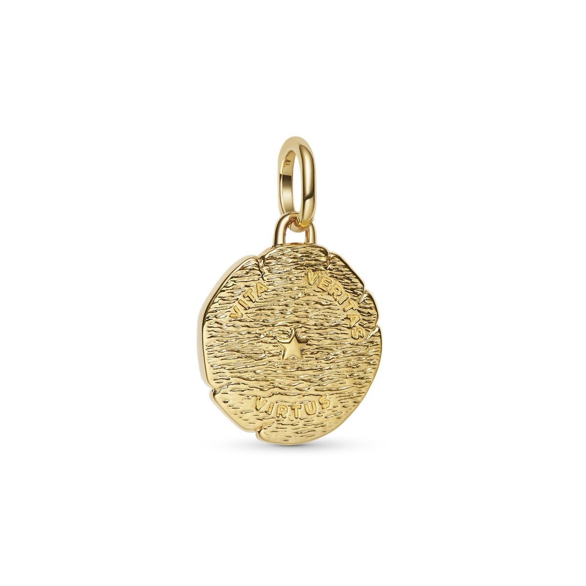 Pandora Gold Lion Medallion Charm