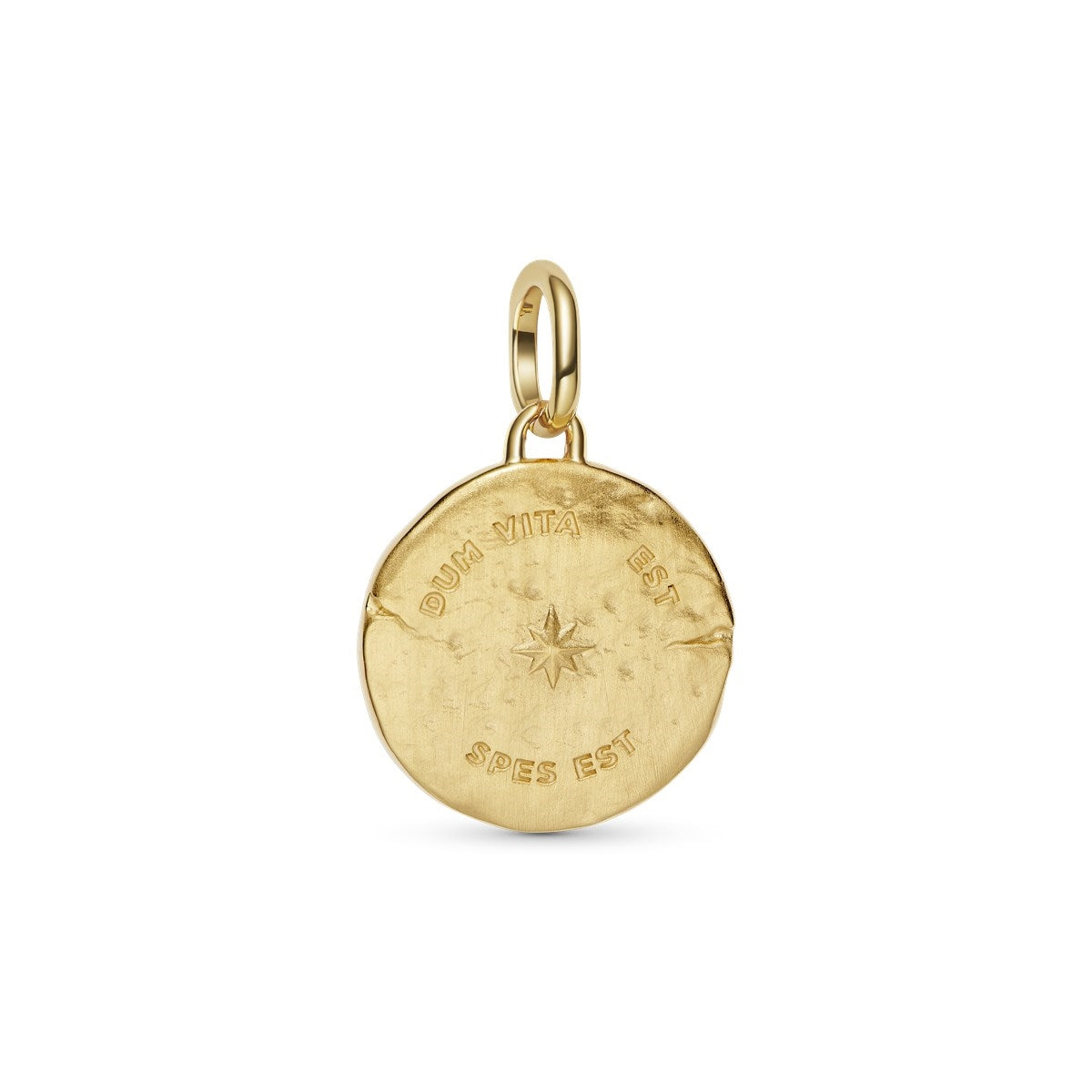 Pandora Gold Swallow Medallion Charm