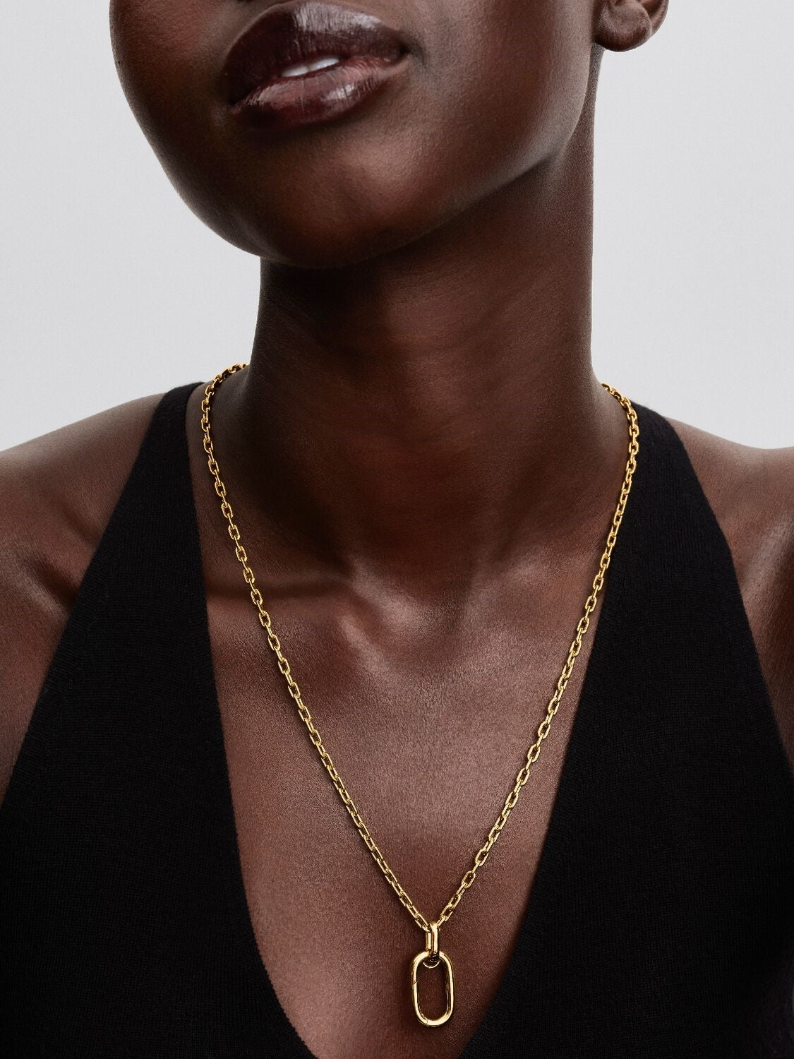 Pandora Gold Swallow Medallion Link Necklace Set