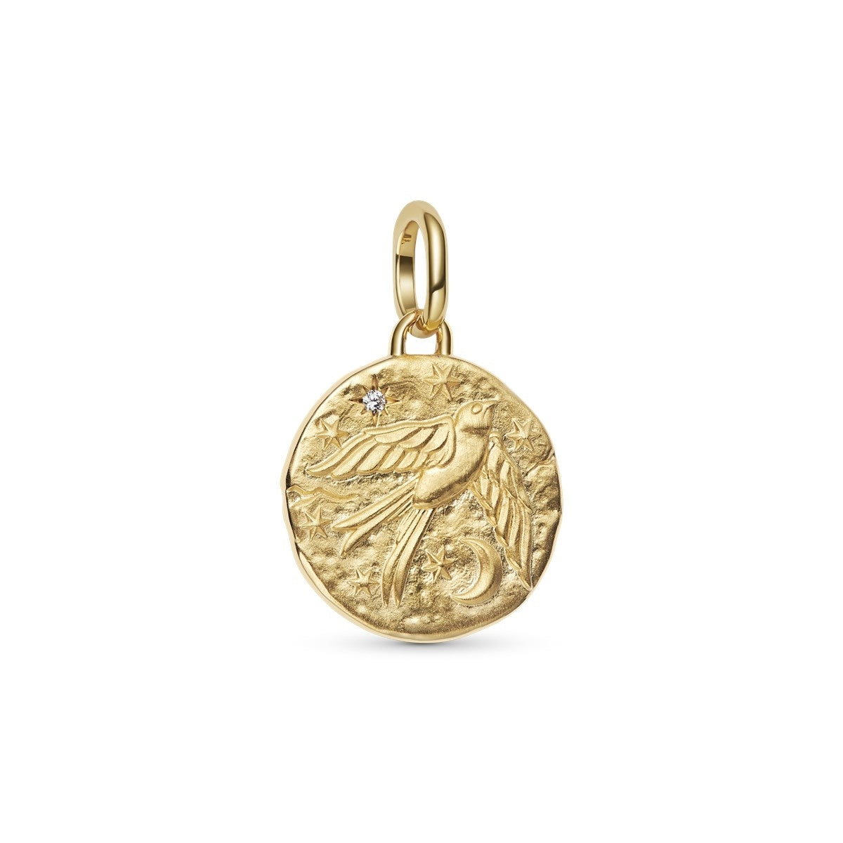 Pandora Gold Swallow Medallion Link Necklace Set