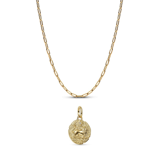 Gold Lion Medallion Elongated Link Necklace Set