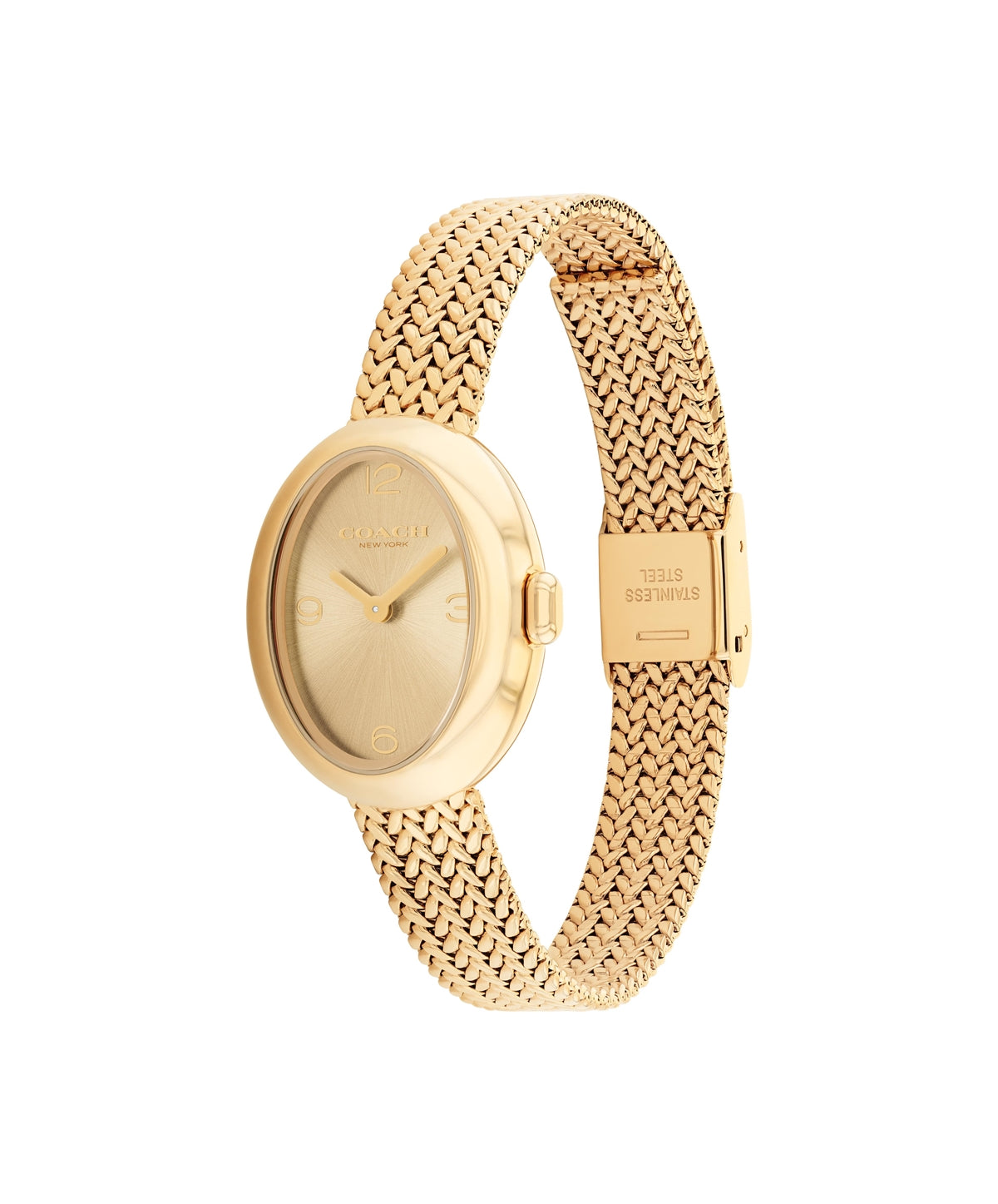 Coach Gold Sammy Oval Mesh Watch