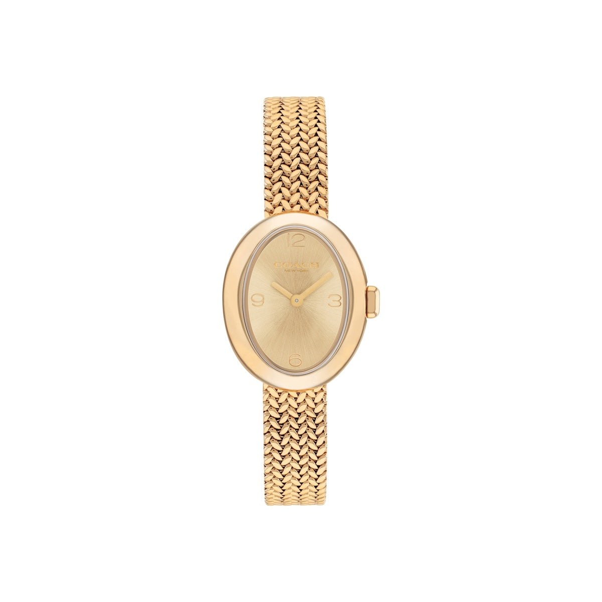 Coach Gold Sammy Oval Mesh Watch