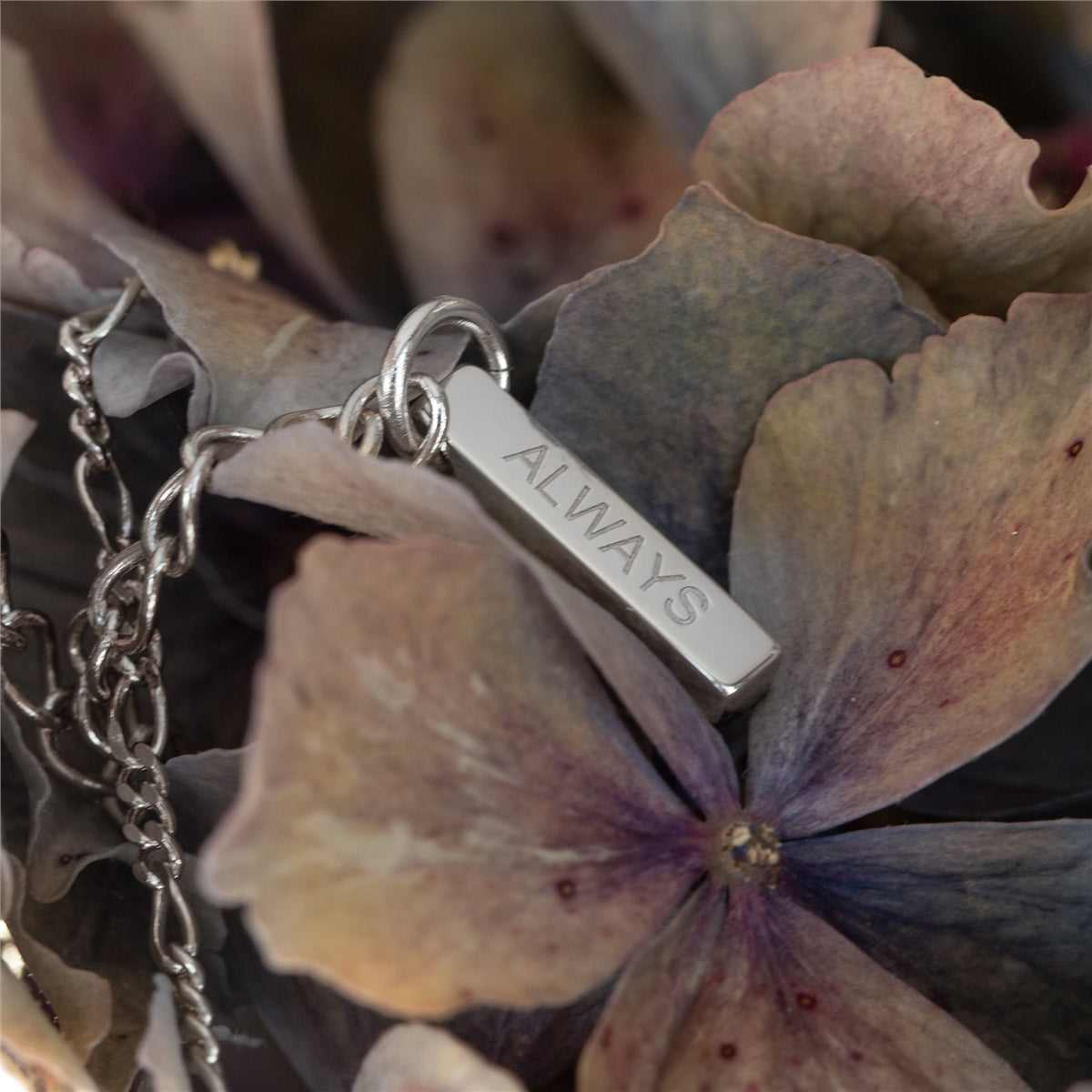Seek + Find Silver Always Chain Necklace