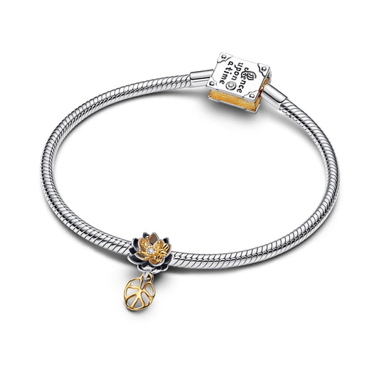 Pandora Disney Princess Storybook Bracelet Set
