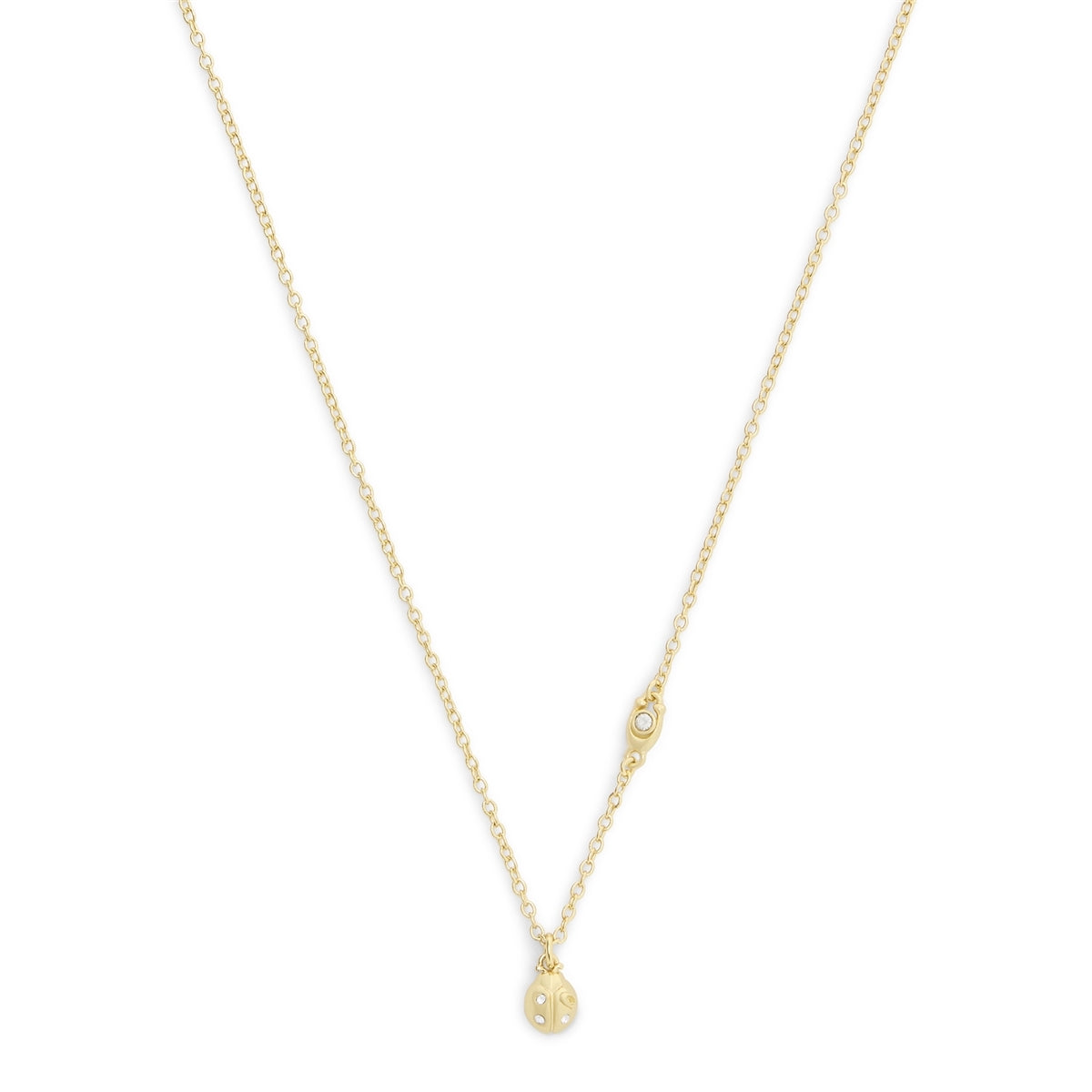 Coach Gold Ladybug Gift Set
