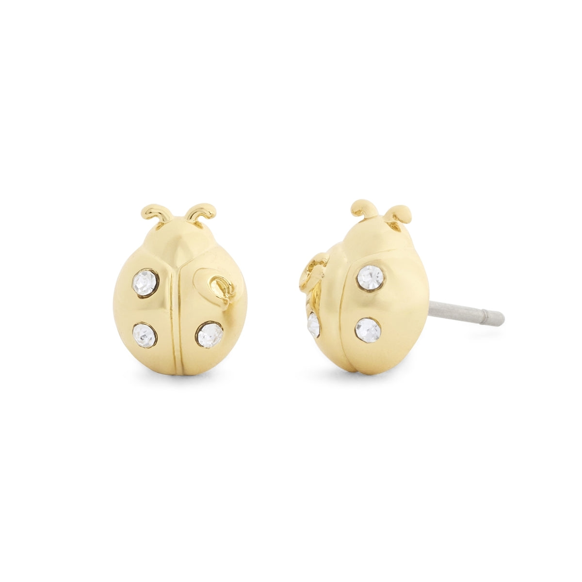 Coach Gold Ladybug Gift Set
