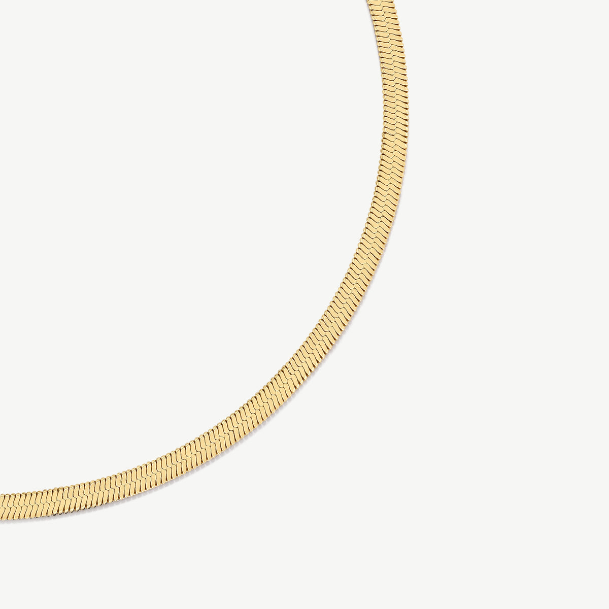 D.Louise Gold Essentials Flat Snake Chain Necklace