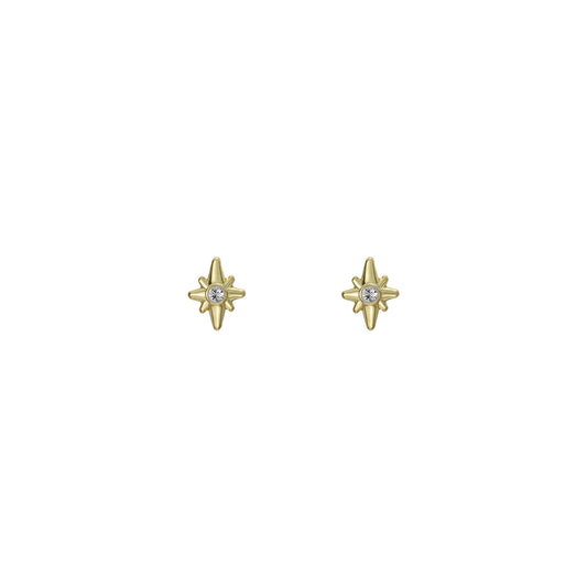 Ted Baker Gold Suri Star Charm Crystal Micro Stud Earrings